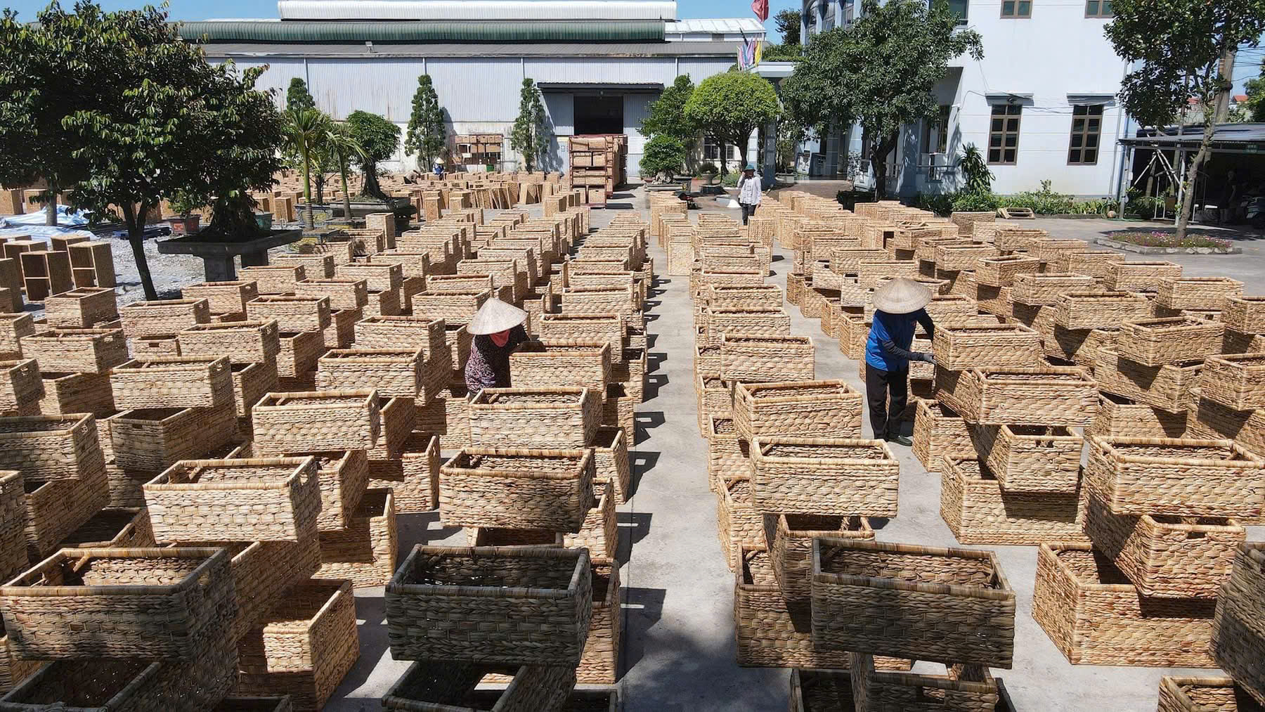 Thiết kế sáng tạo - công cụ tạo khác biệt cho sản phẩm OCOP